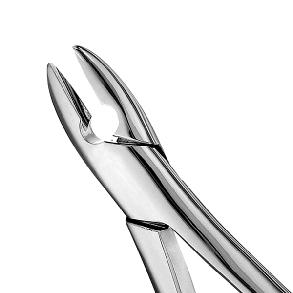 فورسپس دندانپزشکی مستقیم ریشه کش بالا